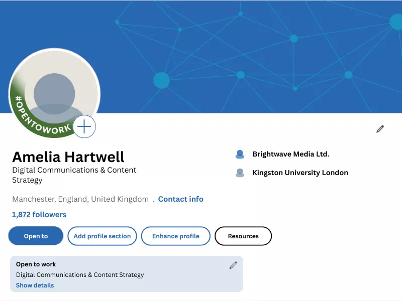 LinkedIn open to work profile example showing a job seeker’s header and spotlight details.